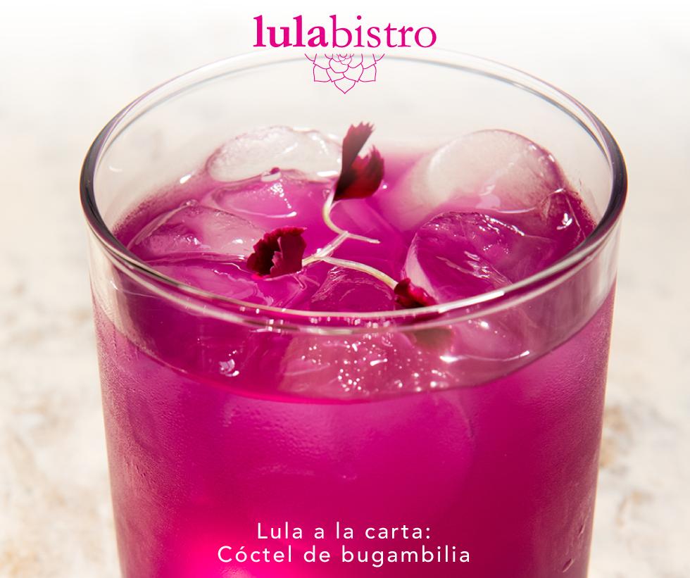 lulabistro's tweet photo. Inicia tu experiencia con un refrescante cóctel de bugambilia: especial de Lula Bistro. https://t.co/7vYoXKxiiU