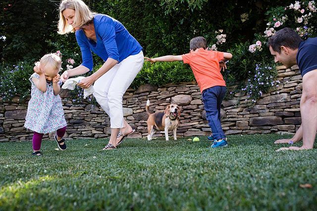 #sffamilyphotographer #documentaryfamilyphotography ift.tt/2mkwni0