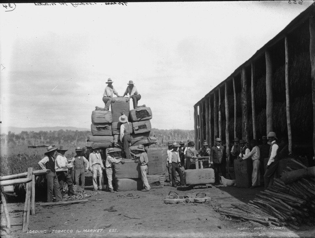 Loading tobacco for market #newoldstock
