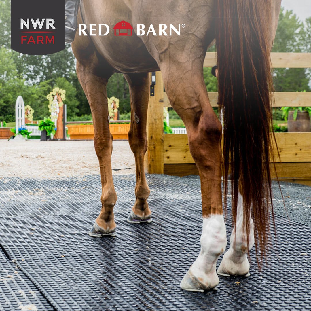 RedBarnMats's tweet photo. WHY IS RED BARN® MAX THE BEST?
#RedBarn Max dual surface lets you choose the surface texture that best fits your applications.  Buttons down for drainage / cushioning, buttons up for maximum traction!
.
.
.
#nwrfarm #redbarnbedmats #horse #horses #equestrian #farm https://t.co/wLeZdZQKRB