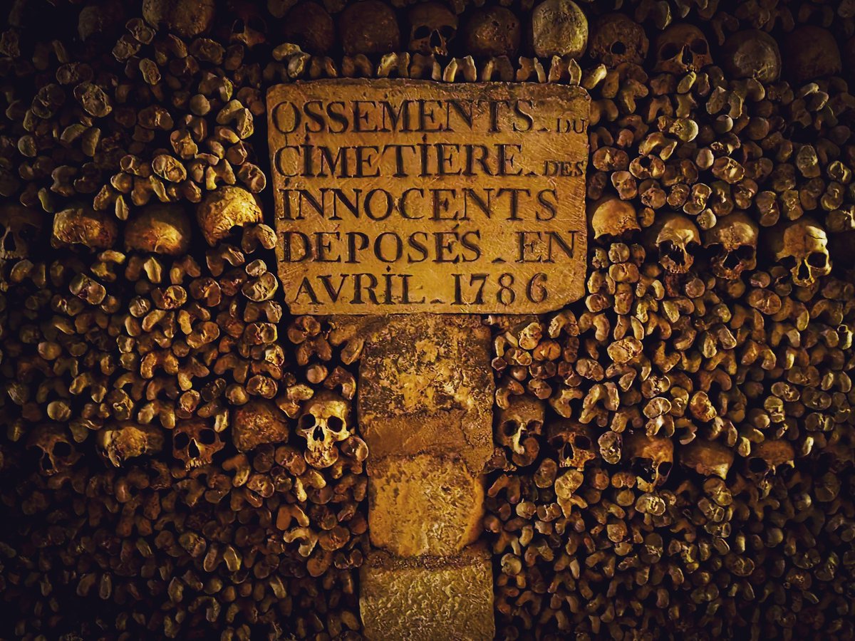 thisbirddrones's tweet photo. These guys are totally on trend for this week's fashion week in Paris... What an incredible maze! #catacombsofparis #ParisFashionWeek https://t.co/b6w7NS8cUZ