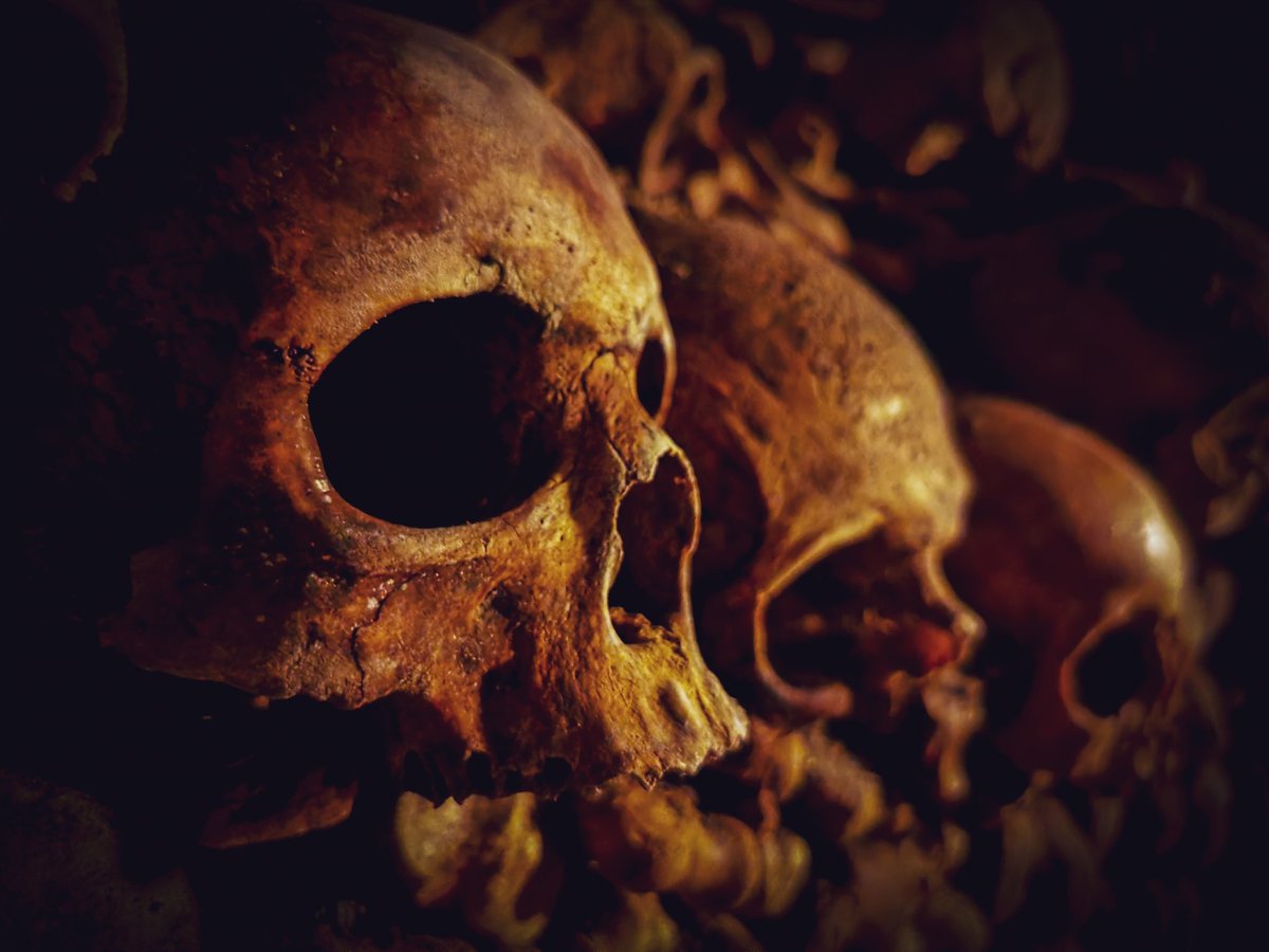thisbirddrones's tweet photo. These guys are totally on trend for this week's fashion week in Paris... What an incredible maze! #catacombsofparis #ParisFashionWeek https://t.co/b6w7NS8cUZ
