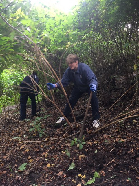 FettesService's tweet image. Some serious lopping work out there in the rain. Good work by all involved.