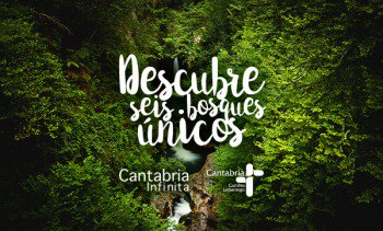 SPENDINcantabri's tweet photo. Seis bosques para perderte en #Cantabria 😍🌲🌳🌿
https://t.co/OnWRJp3Rww https://t.co/cAdTOLYzQr