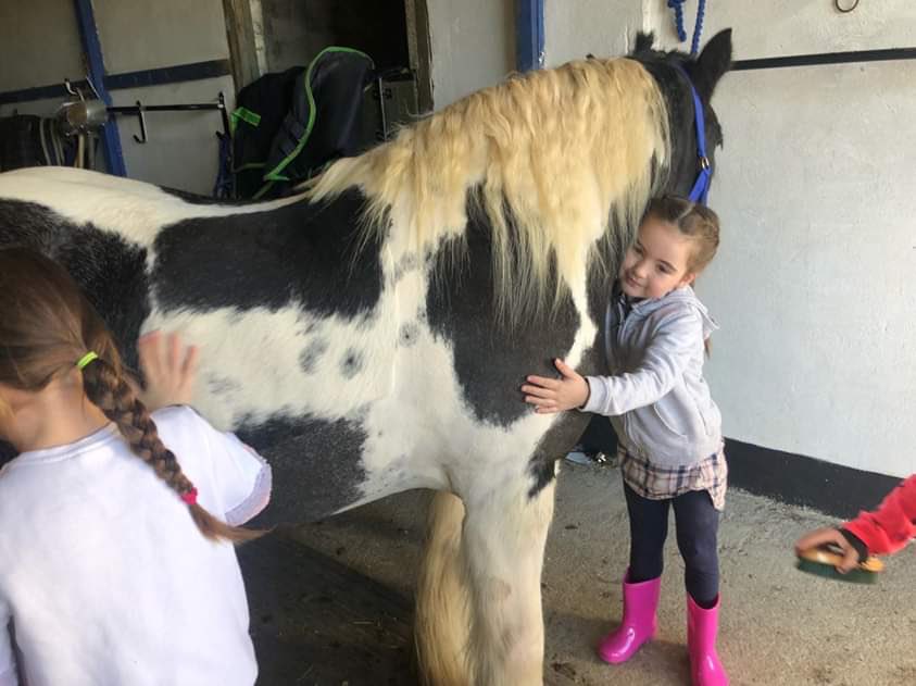 Equestrian Business Network Ireland tweet media