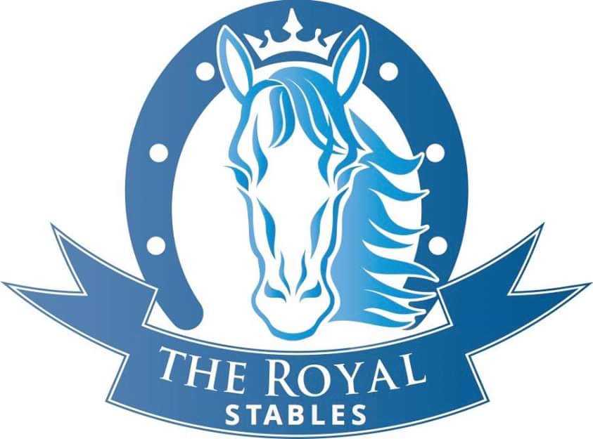 Today's featured business is <a href="/theroyalstables/">The Royal Stables</a> in Skerries. Georgia has a great bunch of ponies and what I love about the place is she teaches pony care and offers Therapeutic Riding, pony parties, trail rides and also has livery places available along with lessons