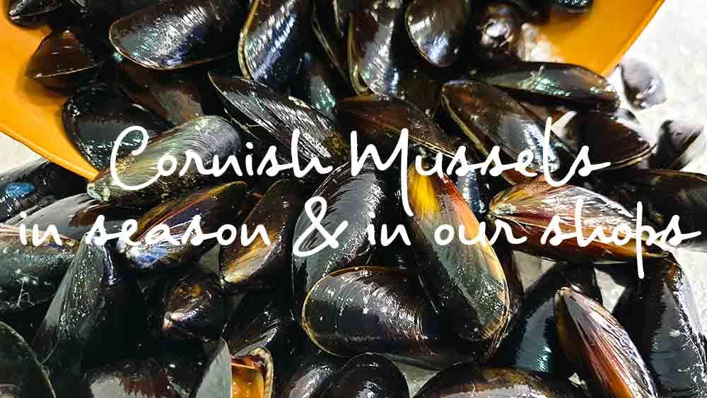 purkisandsons's tweet photo. Give a fishy #FF to these tweeters @NewlynFishing @FisheliciousUK @FairweatherFish @SugarsweetFilms @inmuswellhill @csljohnkirby @SIFFCapitalMgmt @EatCrouchEnd @ChutneysAndJams @WEARECROUCHEND
@andrewsduncan1 #LocalShops #TraditionalFishmonger https://t.co/g5S3Dy6w5d