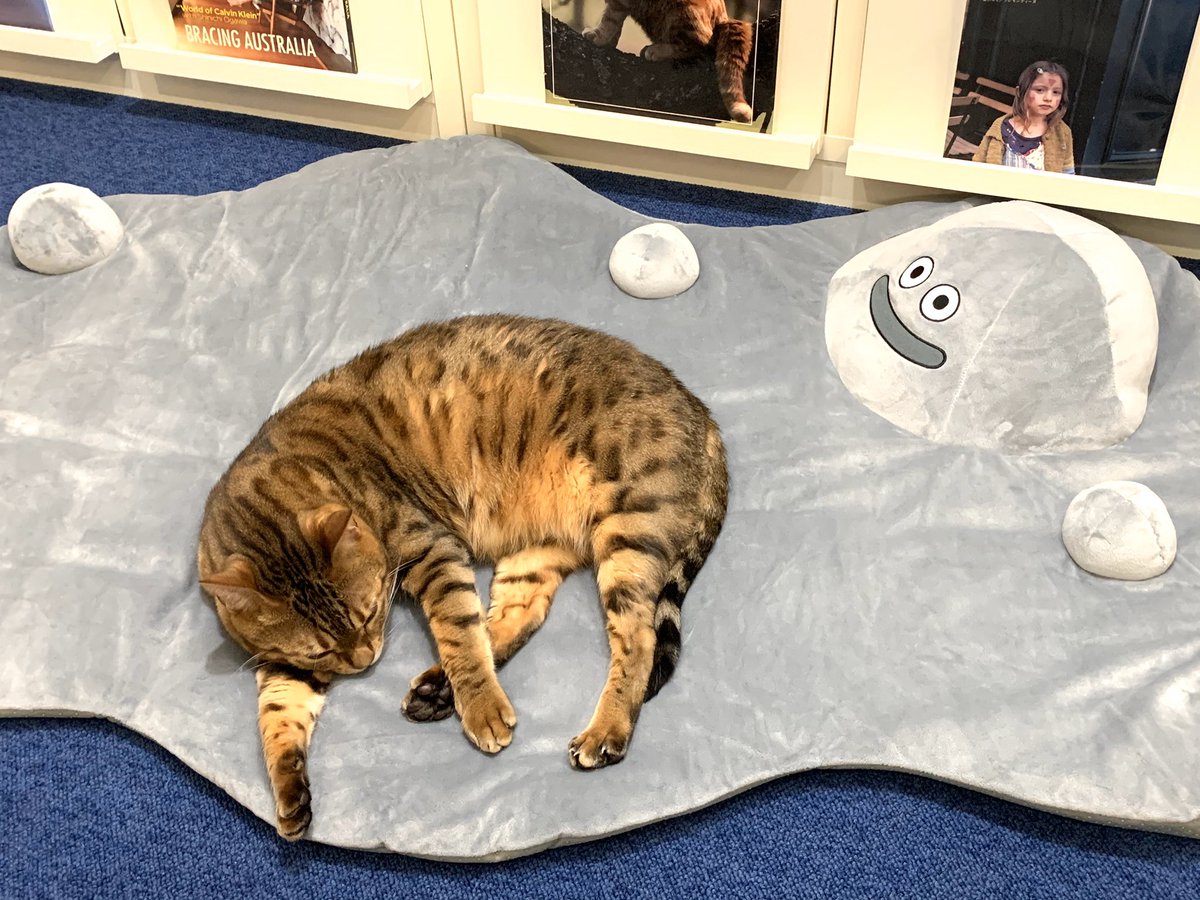 どんどんダメになる 