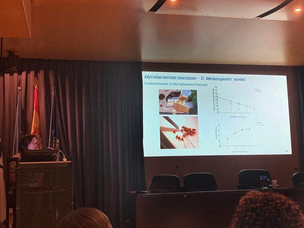 My lab colleague and friend <a href="/arch_marta/">Marta Arch</a> talking about the Drosophila melanogaster fly as a novel model for studying #Tuberculosis and other #Mycobacteria in the #JornadaFormacionCIBERES2019 from the @CIBERES <a href="/tbexperimental/">Experimental TB Unit (UTE) of the IGTP-HUGTIP</a> <a href="/GTRecerca/">IGTP</a>