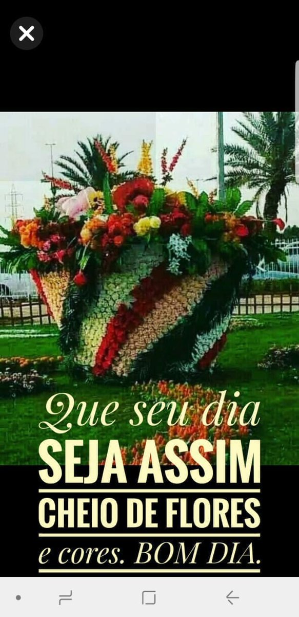 Lalá (@marialamedia) on Twitter photo 