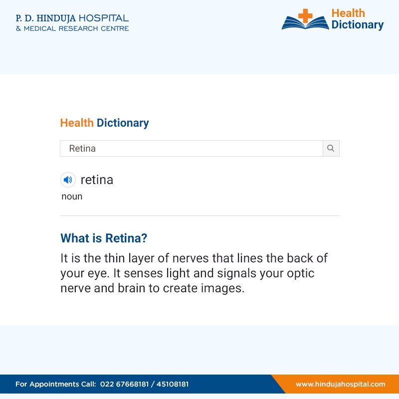 HospitalHinduja's tweet photo. Word of the day - Retina
#HealthDictionary #HindujaHospital https://t.co/fbzN7SjdR5