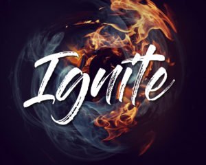 If you need support to get your franchisees organised, working efficiently and generating profits, the tailored Ignite programme could be your solution. Our swift growth plan can drive your franchisees forward in just 12 months.
Read more here: exec-tc.com/our-services/i…