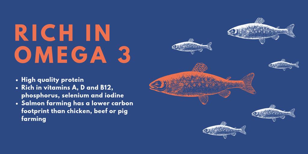 MSDaquaUK's tweet photo. Scottish salmon – a superfood in more than one way!

#MSDAqua #salmon #Scottishsalmon #fishhealth https://t.co/PeK8AEvLzI