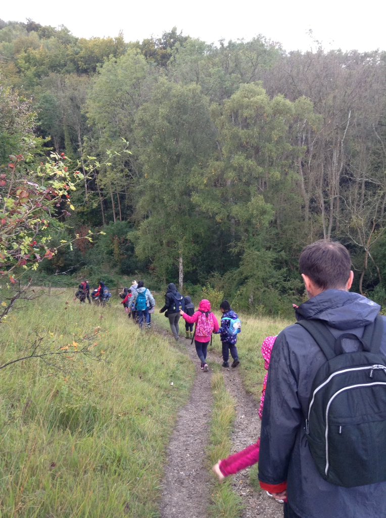 RFitzroyAcademy's tweet photo. At #RFA we believe in enriching experiences. For their 11B411 promise we took these #hikingheros to Box Hill. #Wallabyclass #koalaclass #year3 https://t.co/IRNTuntb5K