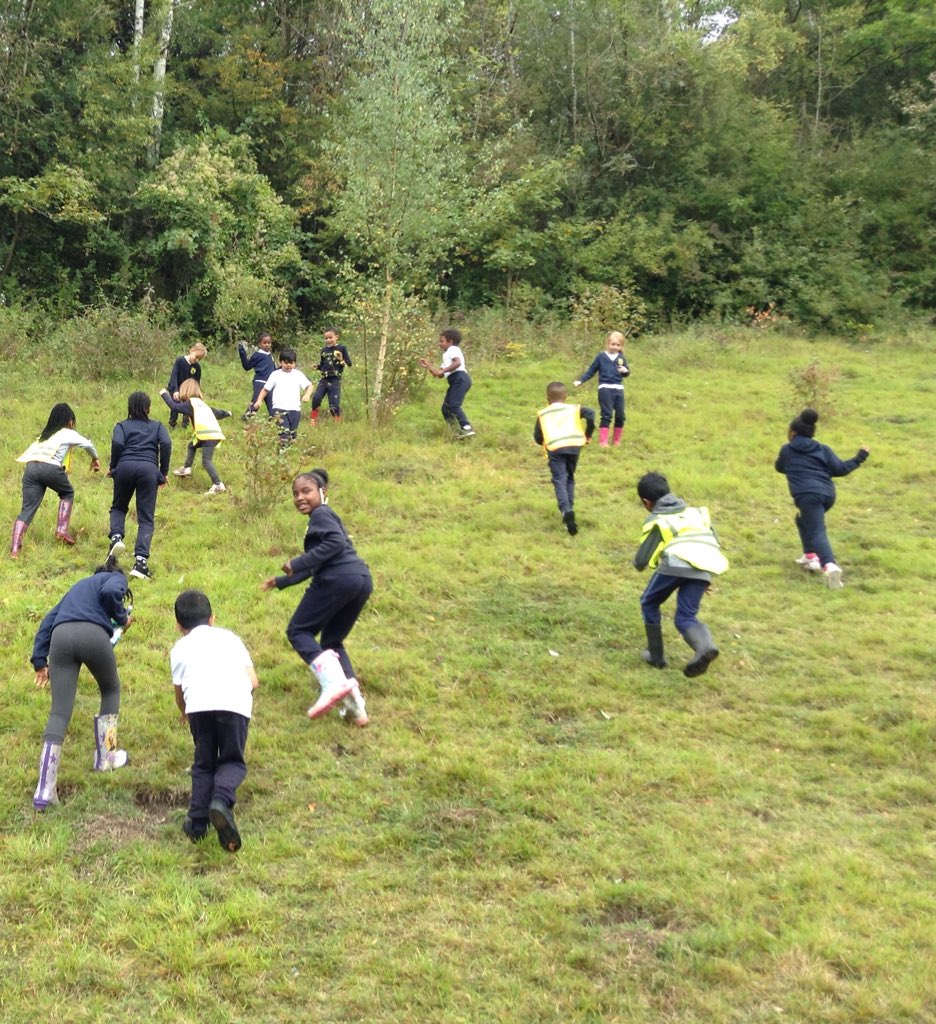 RFitzroyAcademy's tweet photo. At #RFA we believe in enriching experiences. For their 11B411 promise we took these #hikingheros to Box Hill. #Wallabyclass #koalaclass #year3 https://t.co/IRNTuntb5K