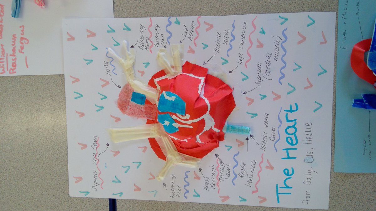 SAGCSEPE's tweet photo. Some of the 3D heart finished products. Very artistic. https://t.co/agZ8ELurad