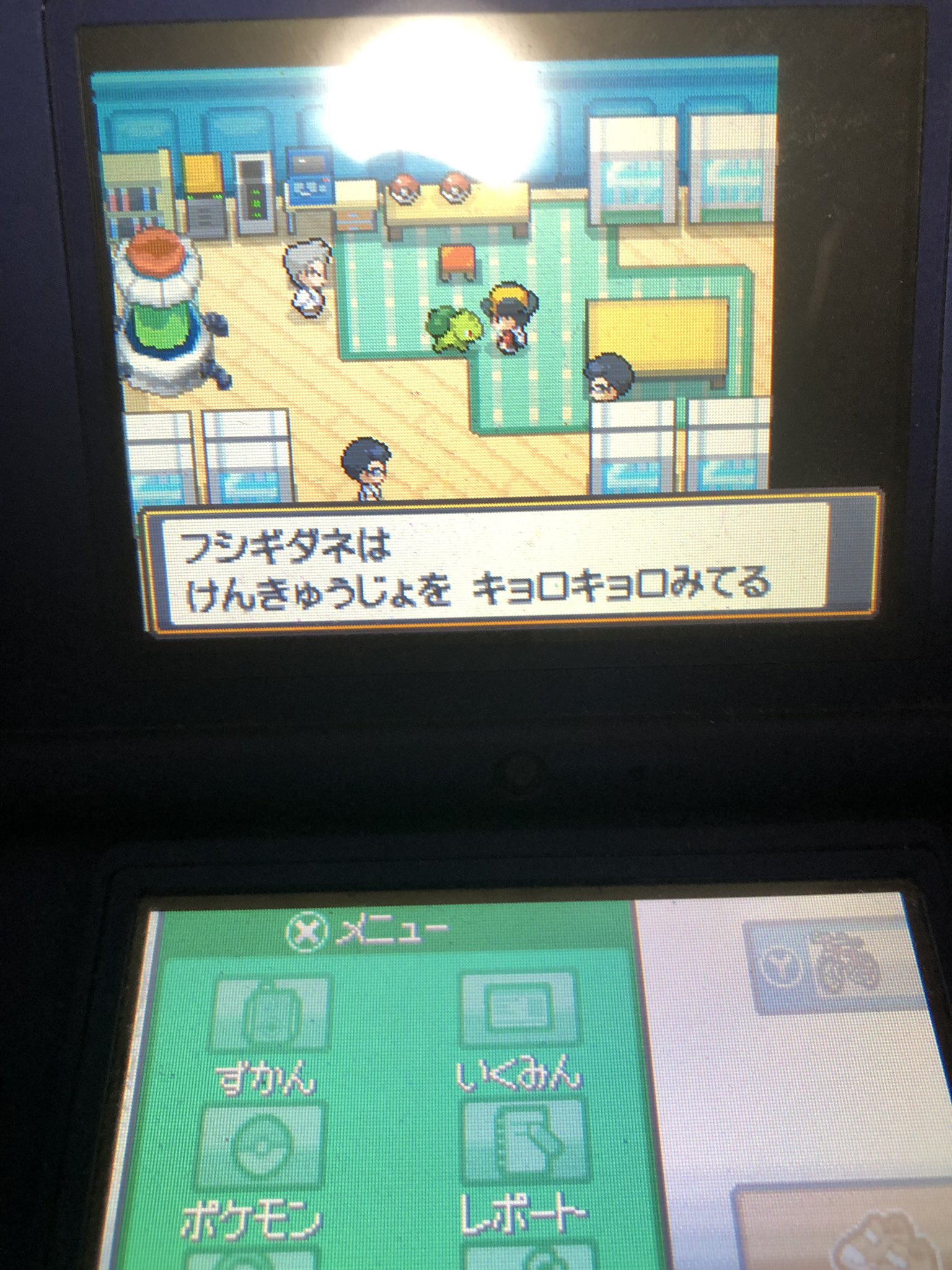 レータ Ssでオーキド博士から貰えるカントー御三家のフシギダネの色違い4123回目で出ました Hgssの連れ歩き色違いちゃんと反映されるから好きやで T Co Bqqwupl4rn Twitter