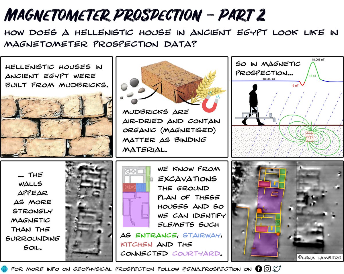 GaiaProspection's tweet photo. Archaeological prospection in a nutshell - part 2:  How do Hellenistic houses in ancient Egypt appear in magnetic prospection data and why do we see them? How do we interpret these archaeological features? #archaeologicalprospection #inanutshell https://t.co/4IEbd27ORG