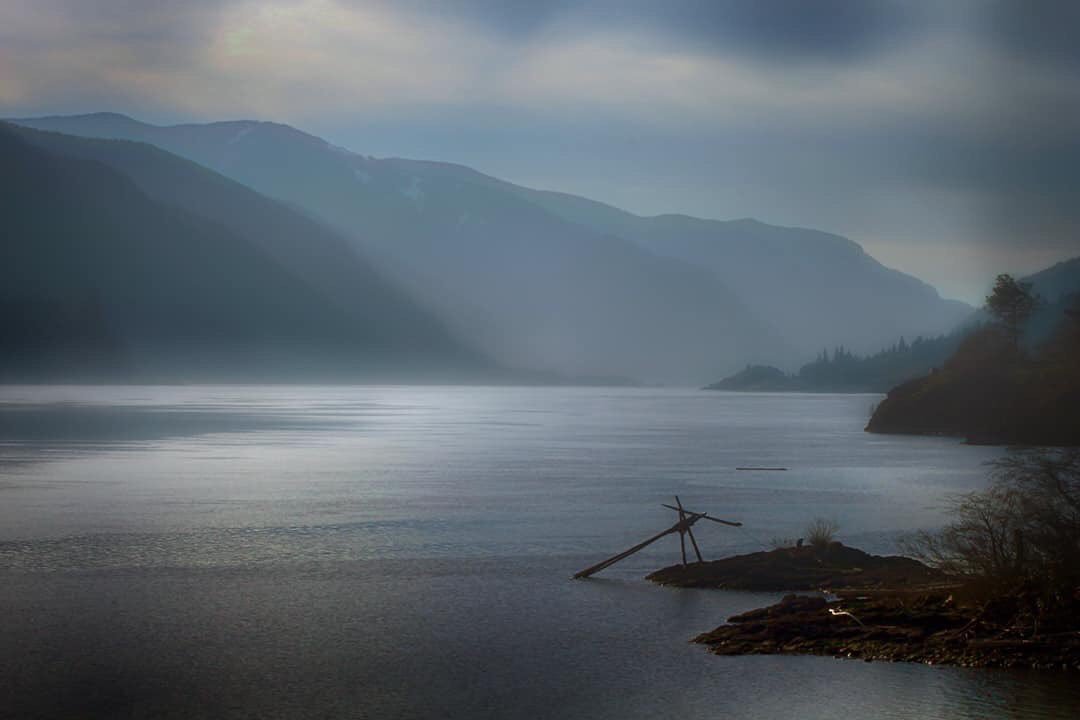 DavieTempie's tweet photo. If you want to know more about my home and the river I love, hereโs a great essay about it. #columbiariver #bluefog #PNW #stormhour #PhotoOfTheDay #photography #FridayMorning #FridayMood https://t.co/arehzvr0aj https://t.co/K4Halv4USk