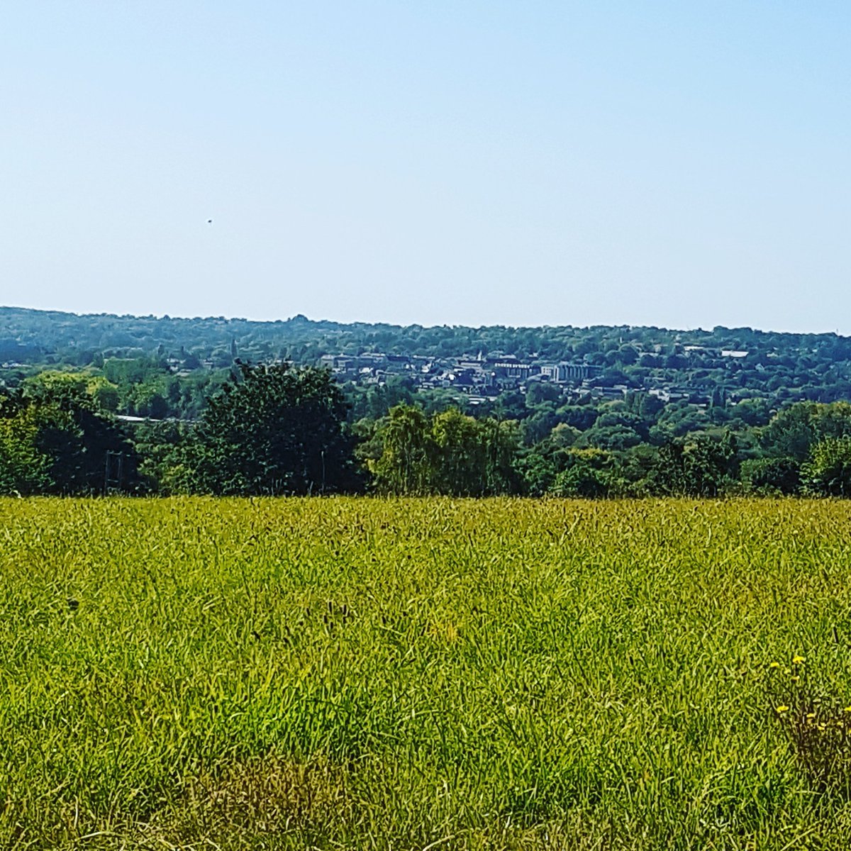 New outdoor wedding/event field overlooking Winchester and across to Cheesefoot head. Bit of fencingto do but getting ready for 2020 season!