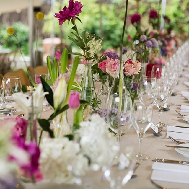 kitchen_sandys's tweet photo. Beautiful lunch for beautiful people 
#singlestembouquet 
#springhassprung 
#ladieslunch 
#beautifulpeople 
#sandyskitchensa https://t.co/g1fPek99Z1 https://t.co/JcvqkcMdih