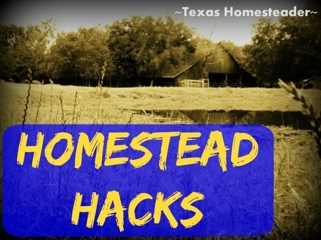 Tx_Homesteader's tweet image. It's too hot to peel tomatoes by dipping into boiling water. But I have a heat-free way to easily peel garden tomatoes texashomesteader.com/homestead-hack…
.
.
#TexasHomesteader #FreshTomatoes #HomesteadHack