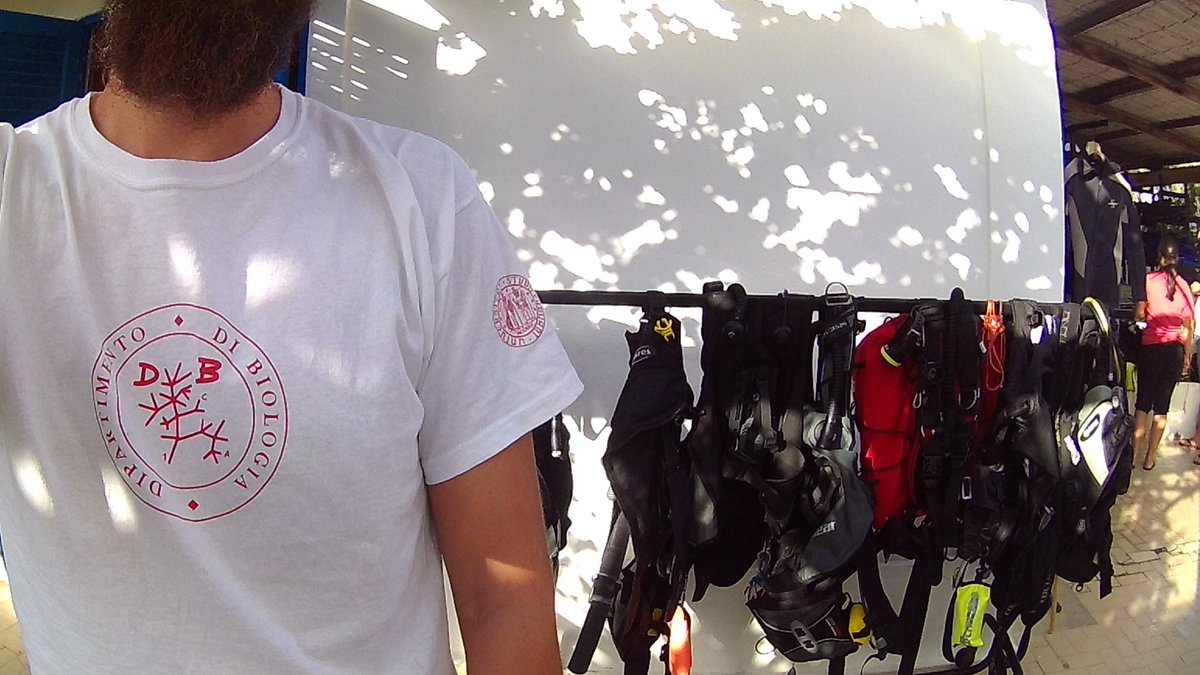 davideasnicar's tweet photo. Logo @DiBio_UniPD in trasferta! Campionamenti e lezioni #biologia #geologia utilizzando un laboratorio naturale nella zona vulcanica di Panarea. @UniPadova #scientificdivingschoolpanarea #summerschool #ogs #stazionezoologica #szn #universitadellasapienza #ingv #aioss https://t.co/he1iCkXxFy