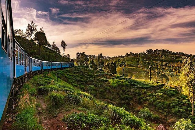 Ella_SriLanka's tweet photo. Kandy -> Ella 🚂 Sri Lanka .
. .
.
#srilanka #travel #travelphotography #kandy #ella #kandytoella #kandytoellatrain #kandytoellatrainride #landscapephotography #landscape #train #nikon #nikonphotography #nikond5300 #nikond5300📷 #zoomnl #digifoto #dig… https://t.co/gY1FwBZ2ZO https://t.co/wCPDPCkZAL