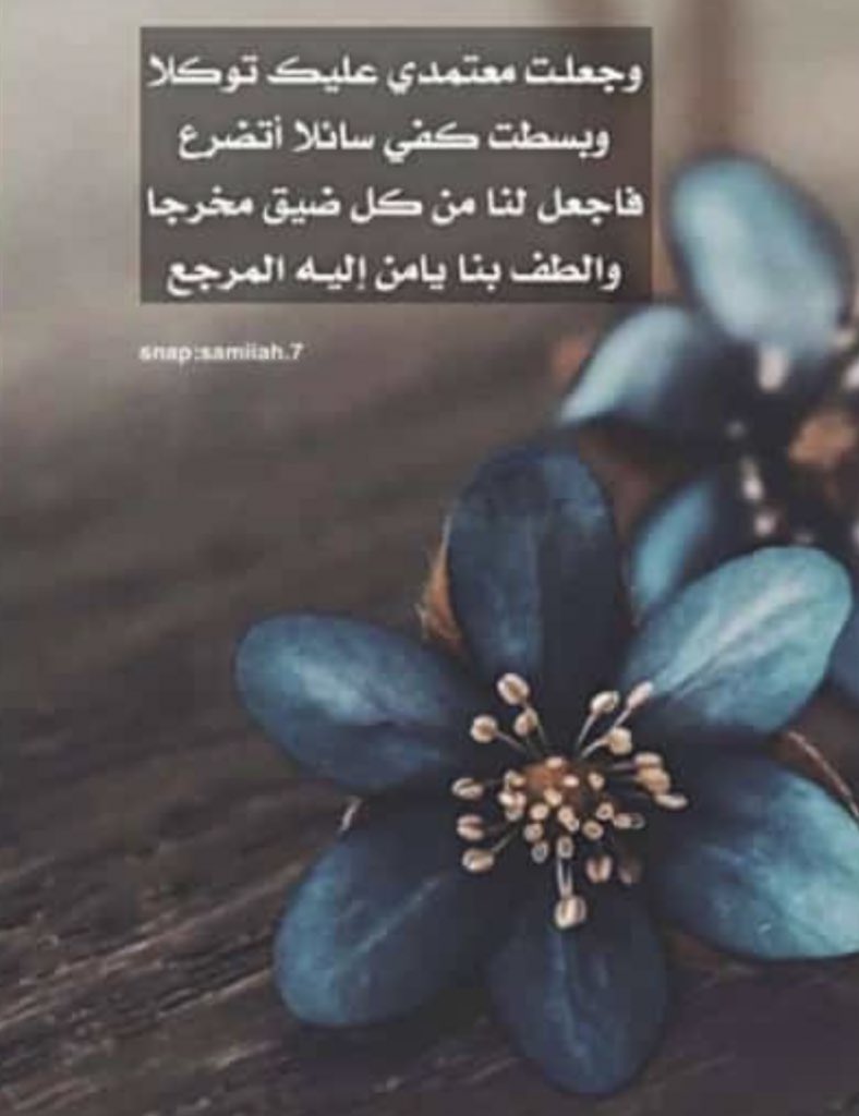 Nohasafer's tweet photo. https://t.co/ay07JkJdUw
