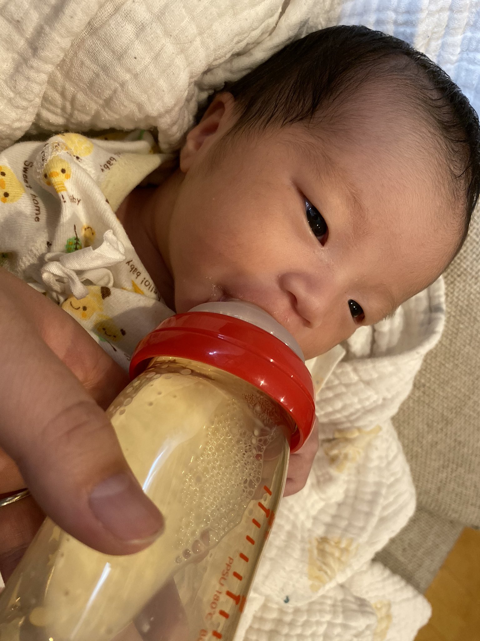 はあちゅう 子供は鉗子分娩だった 引っ張り出した ので まだちょっと頭が長いです 頭の形はゆっくり戻るそう Twitter