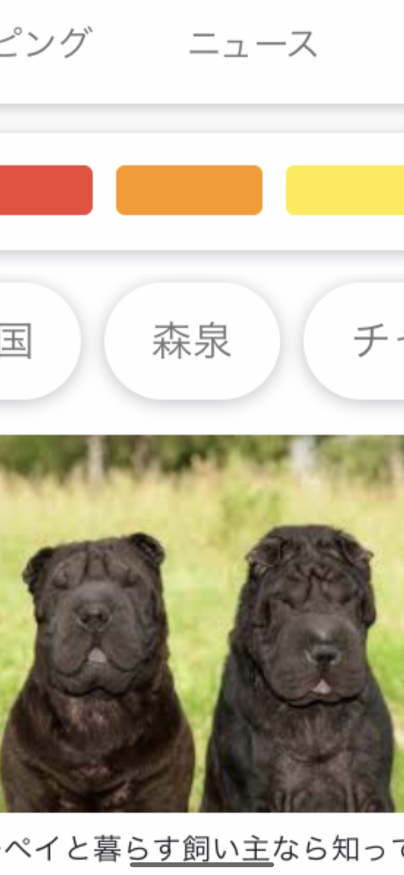 シーシーペニストン 森泉 シーシーペニストン 森泉