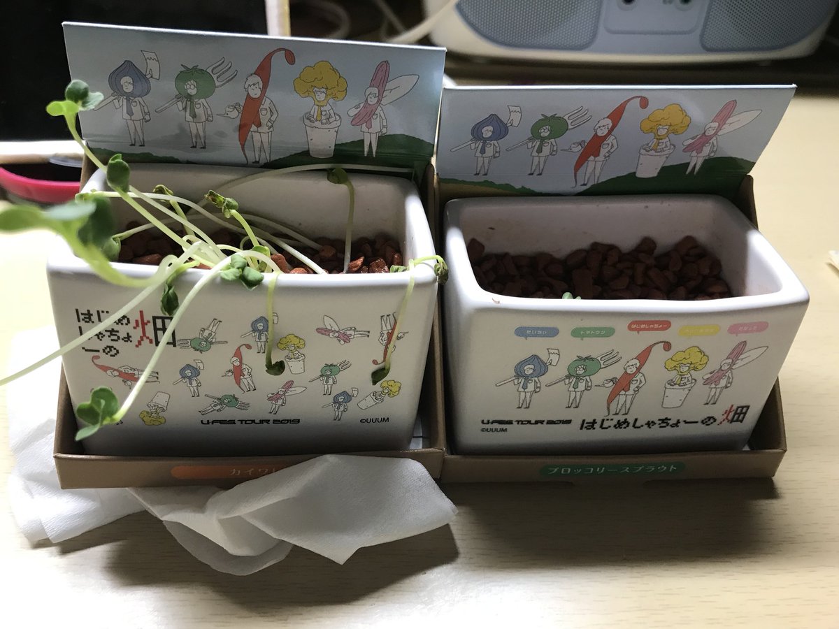 栽培日記 栽培日記