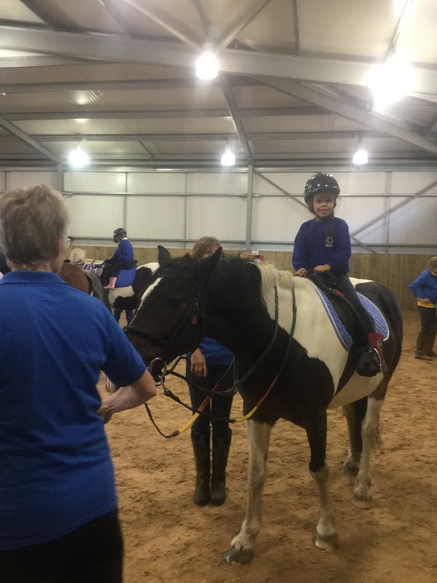TheMilestoneSch's tweet photo. Wonderful #days for @TheMilestoneSch #blueclass @cotswoldrda #CheltenhamRacecourse #rdaMaisemore @Hartpury @KittyBarronRDA #TheCamp #confidencebuilding #learningwithanimals #thankyou https://t.co/l2yRLz4lbW