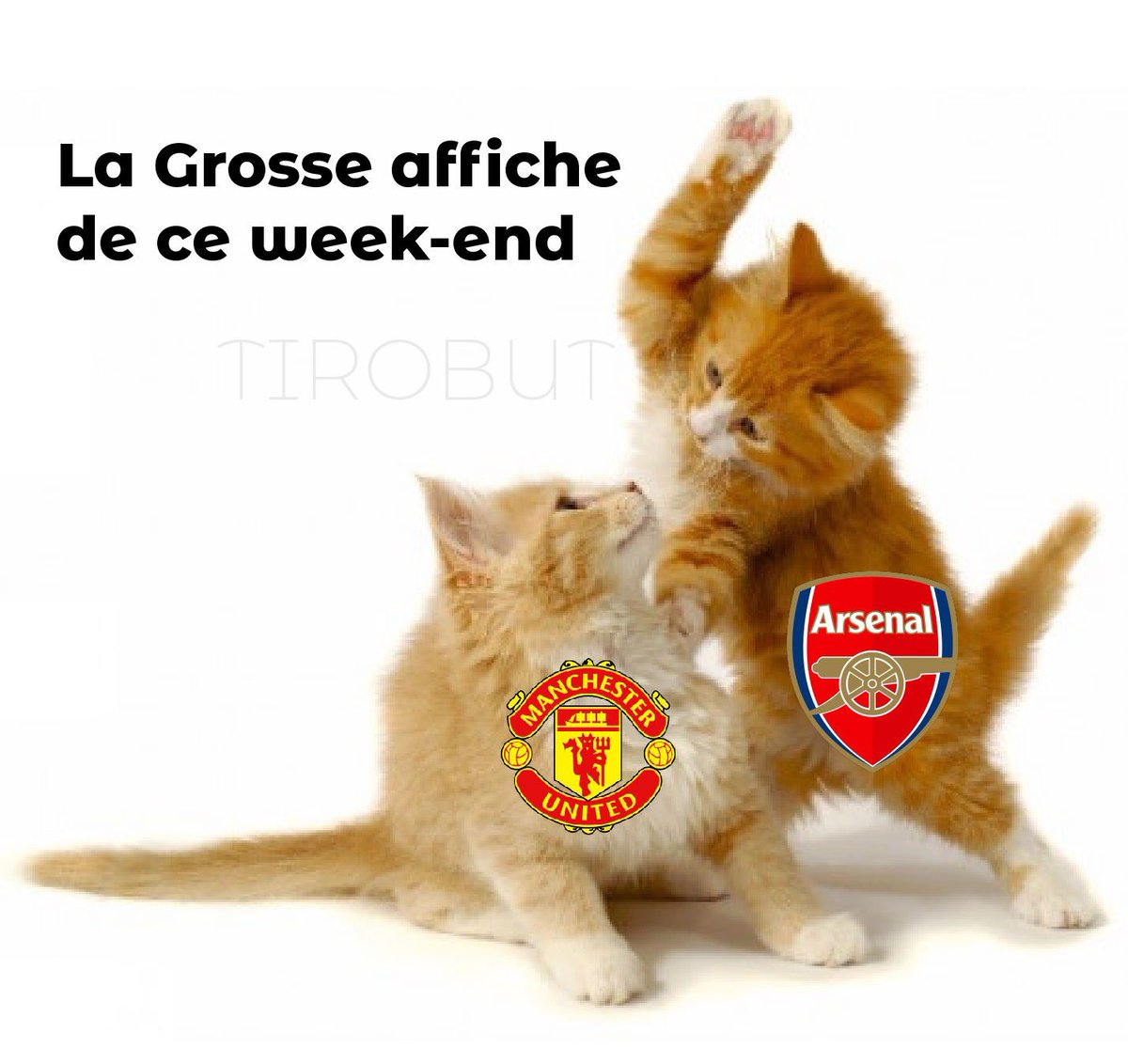 tirobutciv's tweet photo. Le choc à ne pas rater #MUDARS https://t.co/fdZPdxiqY9