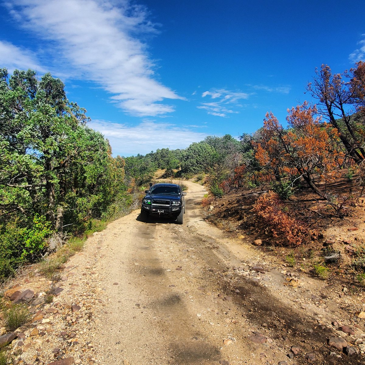 xploring_trails's tweet photo. When we drove into the burn area it was interesting to see how the fire completely burned one area and skipped over another area in the same path.
#exploringtrails #wilderness #exploreaz #explorearizona #letsgoplaces #toyotaoffroad #woodburyfire #arizona #southwest https://t.co/z0idEppGzb