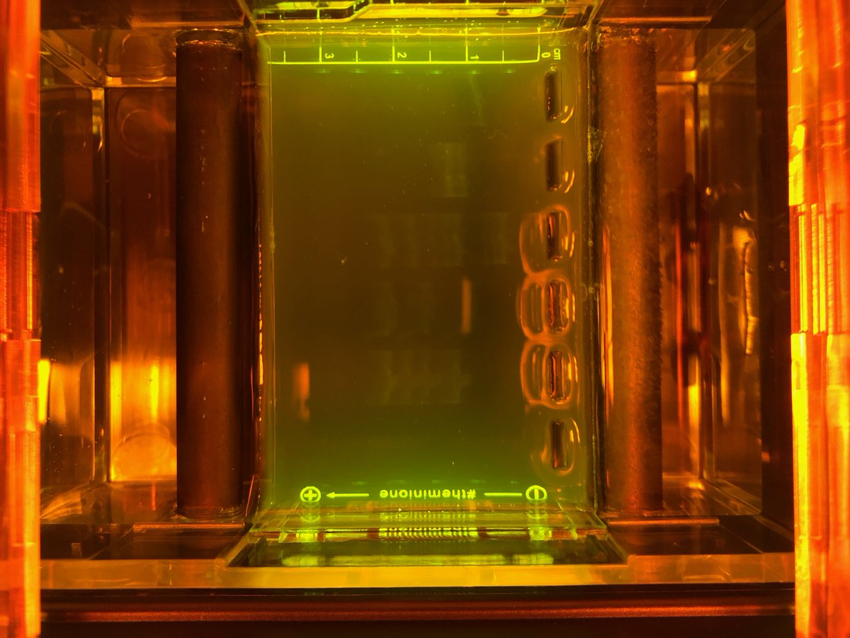 MahwahSci_Eng's tweet photo. Restriction Digest Analysis using gel electrophoresis in BioTech in BioTech Engineering! @MahwahHS @mahwahschools #mahwahconnects #BioTechisNeatwithMrsFreet https://t.co/VgHYDhyGCO