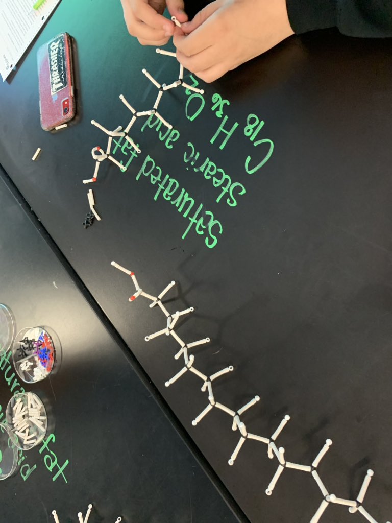 wernerbiology's tweet image. #CPbio is modeling saturated and unsaturated fats during our study of lipids. #ISDstudentsdeserveit @IHSBucPride