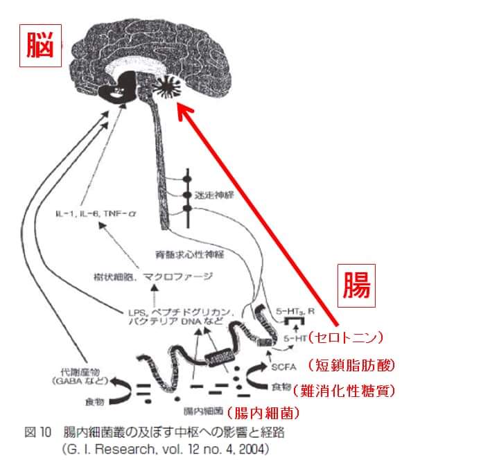 マービー札幌 個人垢 V Twitter うつ病 自閉症と腸内細菌叢 最近非常に注目されている腸内細菌と精神状態の相関性について 以下のurlからfacebookでご紹介しています T Co Kyx8sbisxp 腸内細菌 うつ 自閉症 腸脳相関 乳菓オリゴ糖 オリゴワン マービー札幌 個人垢 V Twitter うつ病 自閉症と腸内細菌叢 最近非常に注目されている腸内細菌と精神状態の相関性について 以下のurlからfacebookでご紹介しています T Co Kyx8sbisxp 腸内細菌 うつ 自閉症 腸脳相関 乳菓オリゴ糖 オリゴワン