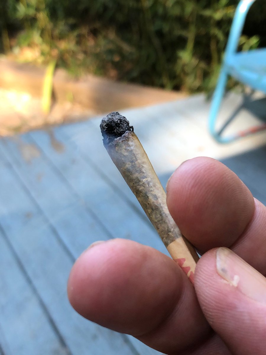 Hemp4Victory's tweet photo. 3 days of SBD (super blue dream)...
Did someone beat me with a bat?
Gonna go do some purple princess on the porch and see if I can motivate myself!
#sativa v #indica.
#knowyourstrain. https://t.co/fIooYkggnj