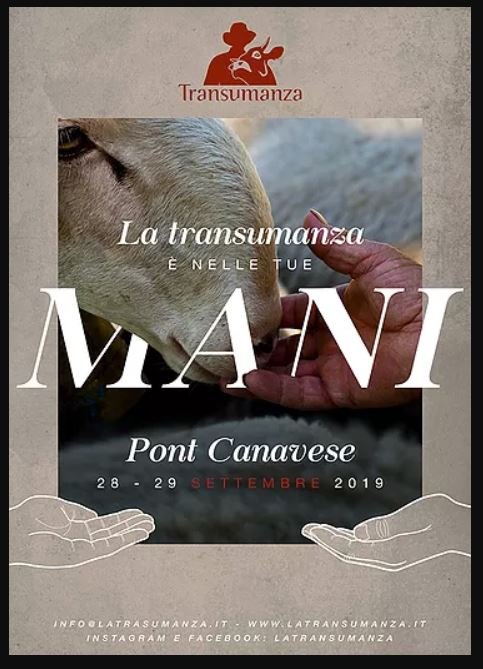 libarmenk's tweet photo. Piazza Craveri 29 settembre #Pontcanavese
I formaggi del #Granparadiso al mercatino dei margari. Espositori di prodotti artigianali e del territorio. Gustare i piatti a base di Polenta e bere del buon vino. Ballare con la musica folk dei #LiBarmenk
#Latransumanza #transumanza https://t.co/dPdkUz7lcJ