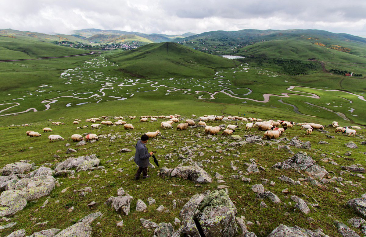 Turizme emek veren tüm turizm sektörü çalışanların Dünya Turizm Günü'nü kutlarım.
Türklerin Karadeniz'e ilk giriş kapısı olan Ordu'muzun eşsiz doğa güzelliklerini görmeniz için sizleri Karadeniz'in incisine davet ediyorum.