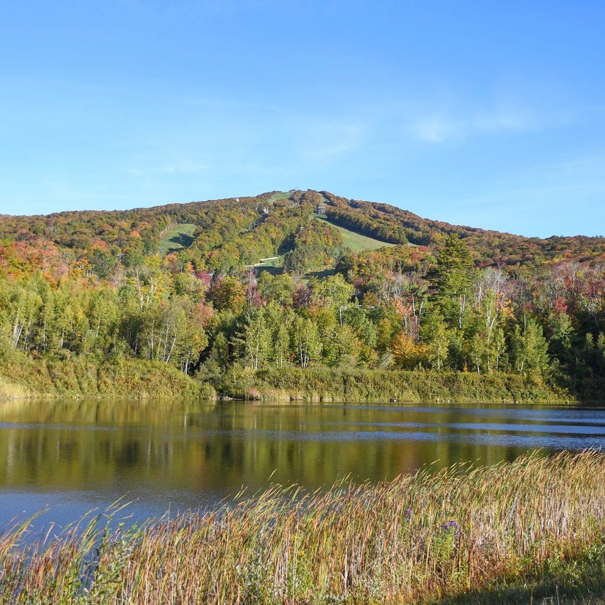 BromleyMountain's tweet photo. Fall foliage update with a view from the snowmaking pond. Only 35 days until snowmaking!
We're still open for autumn adventures every Saturday, Sunday and holiday through October 14th - slide, ride, fly, climb and more. #autumn #explorevt #vermont #visitvermont #bromleymountain https://t.co/ObGW0EbJXx