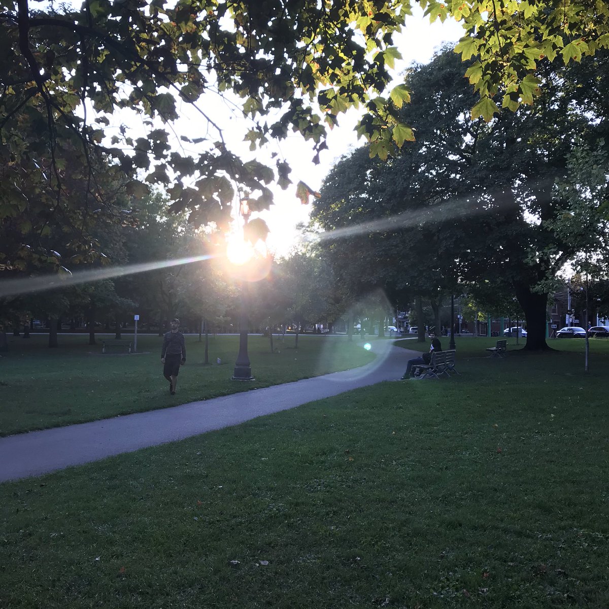 TrinityBellwood's tweet photo. Days are getting shorter, lower afternoon sun gives beautiful views as this. @FriendsofTriBel
#fallflare #northendrules #sunset #trees https://t.co/yl2FdIc4rT