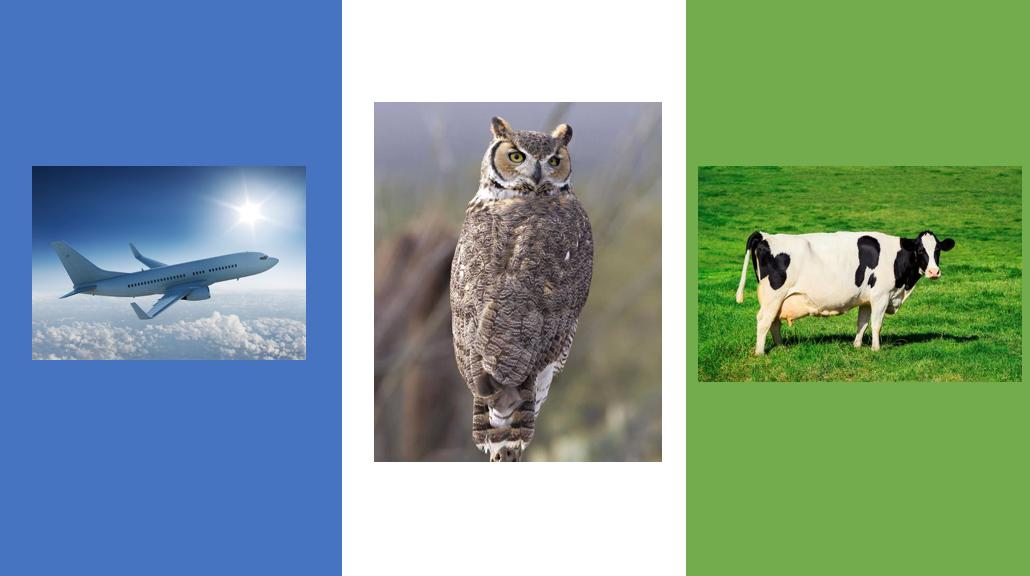 The Child Lab tweet media