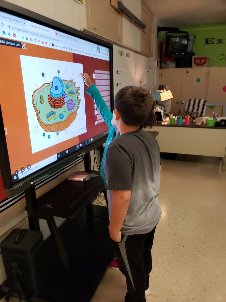 Ashley_Dolphins's tweet photo. Brain discovery with fourth grade! #godolphins #braincommunication #areyourdendritesgrowing @BluesAIGCrew https://t.co/FJppZoX5ZN