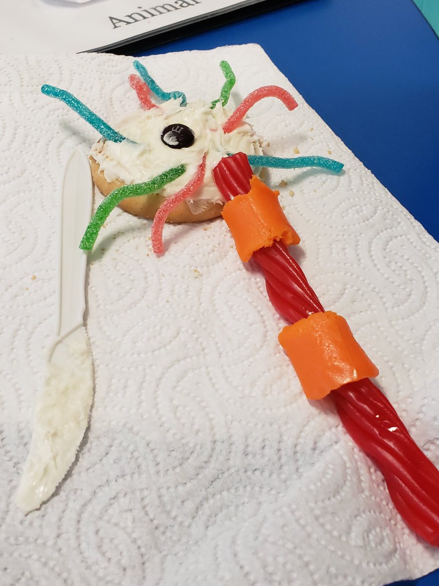 Ashley_Dolphins's tweet photo. Brain discovery with fourth grade! #godolphins #braincommunication #areyourdendritesgrowing @BluesAIGCrew https://t.co/FJppZoX5ZN