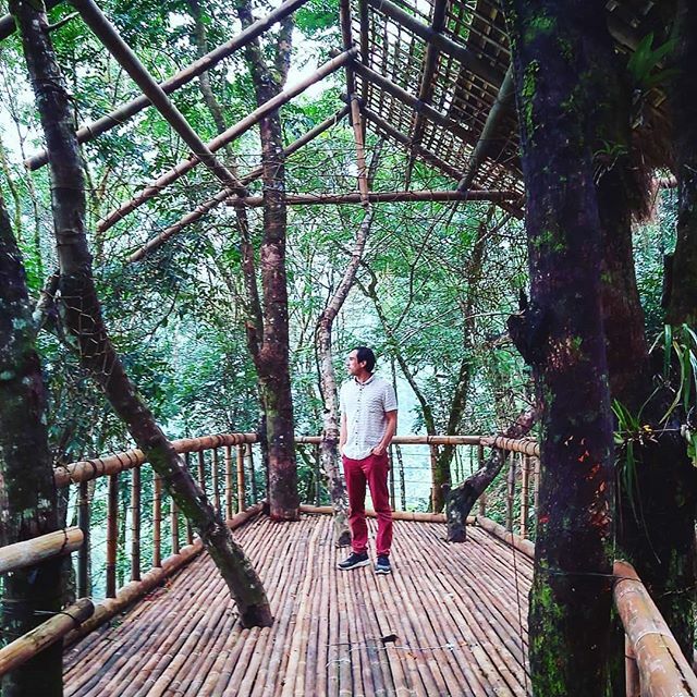 If you want to reach me...you can't.  I live in the trees now. 🌲

#treehouse #travelphotography #adventure ift.tt/2ncJrWT