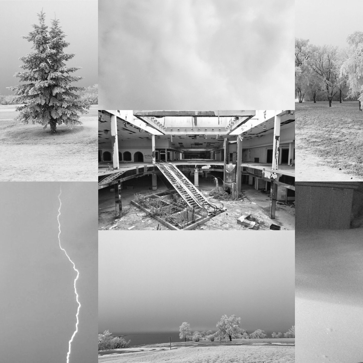 bagoflettuce's tweet photo. #StoryVisuals D27
“Create an aesthetic for your WIP using your favorite color.”
Beneath the Snow! 🥰
Bonus: All my original photos except for the middle one. Can’t remember who I snatched that from. Pretty sure it was a friend, so it’s all good.😅
#amwriting #WritingCommunity https://t.co/7JrVpXCqKU