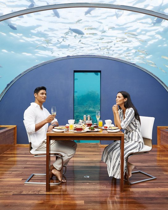 Disc_Maldives's tweet photo. Who would you share this undersea breakfast with? 
#conradmaldives #stayinspired #breakfast #conradhotels #maldives #brunch #weekend #forkyeah #foodie #wanderlust #travel #ithaa #forbestravelguide
📸: @justinnicholasphotography https://t.co/Rq3Km9nvzi