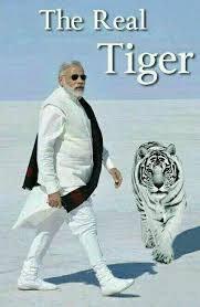 manoosoni's tweet image. Here he comes #UNGA #PMModiAtUN #ModiCreatesHistory